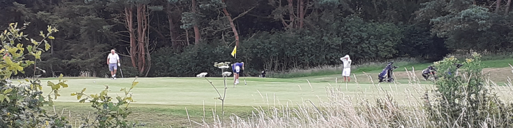 Rotary Club of Folkestone Golf Day at Sene Valley Golf Club